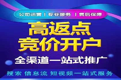 SEO与百度广告的结合：双管齐下的推广案例